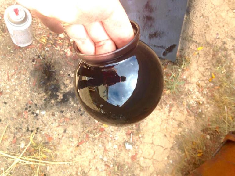 11990533_10153259321996443_4982260636445620890_n