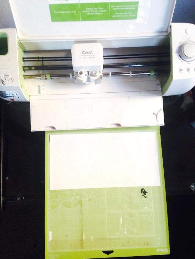 13151969_10153739616986443_1786715439039859808_n