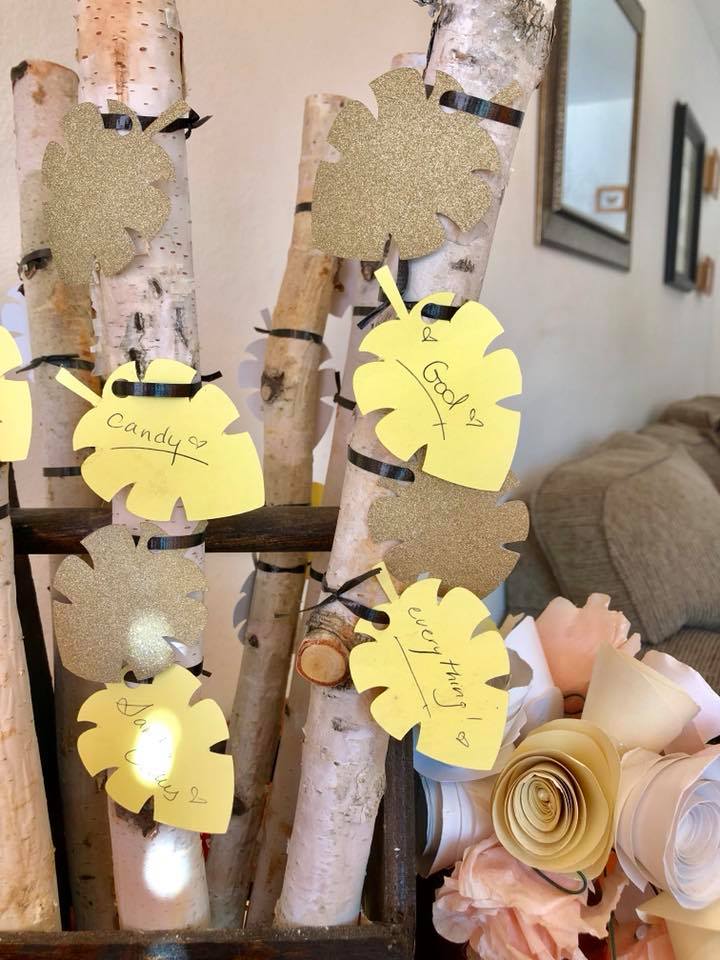 23519291_1493425757393696_5572917931089965534_n