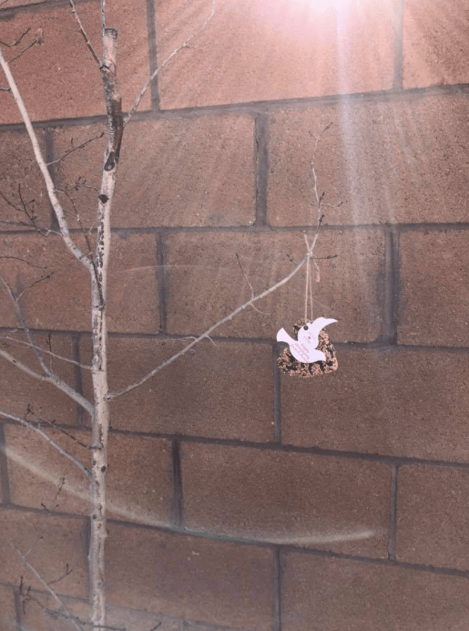 Screen Shot 2018-02-10 at 2.05.32 PM